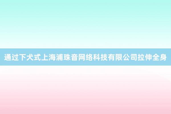 通过下犬式上海浦珠音网络科技有限公司拉伸全身