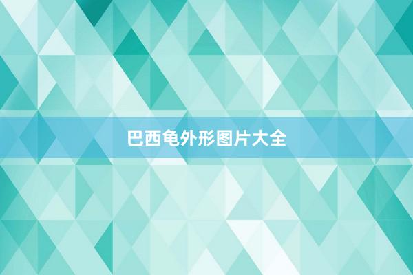 巴西龟外形图片大全