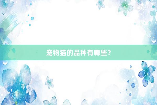 宠物猫的品种有哪些？